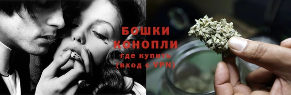 ешки Богданович