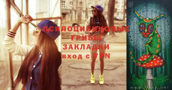 mix Богородицк
