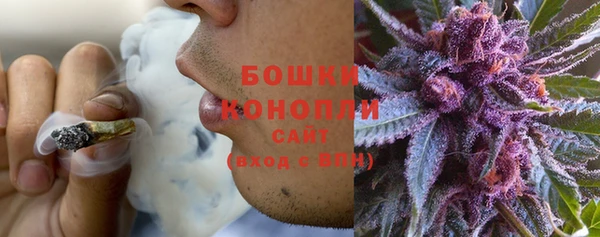 mix Богородицк