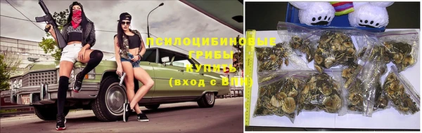 mix Богородицк