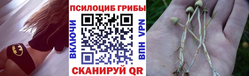 даркнет сайт Озёрск Псилоцибиновые грибы Psilocybine cubensis